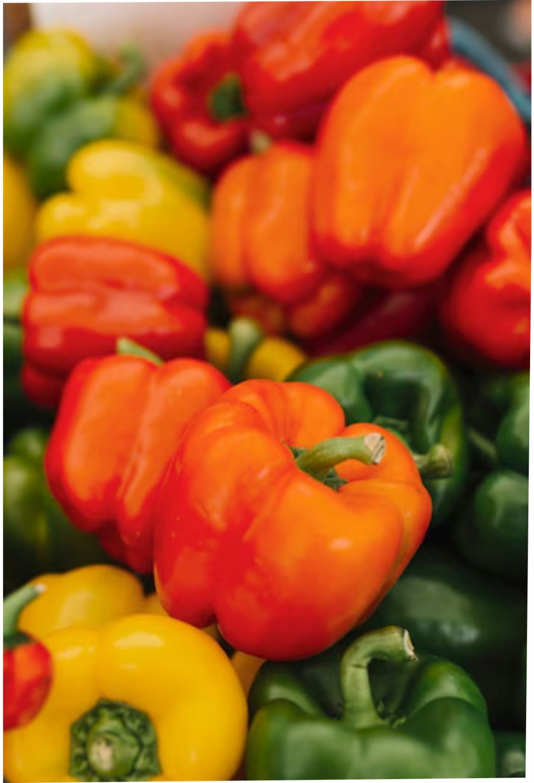 Bioestimulantes category